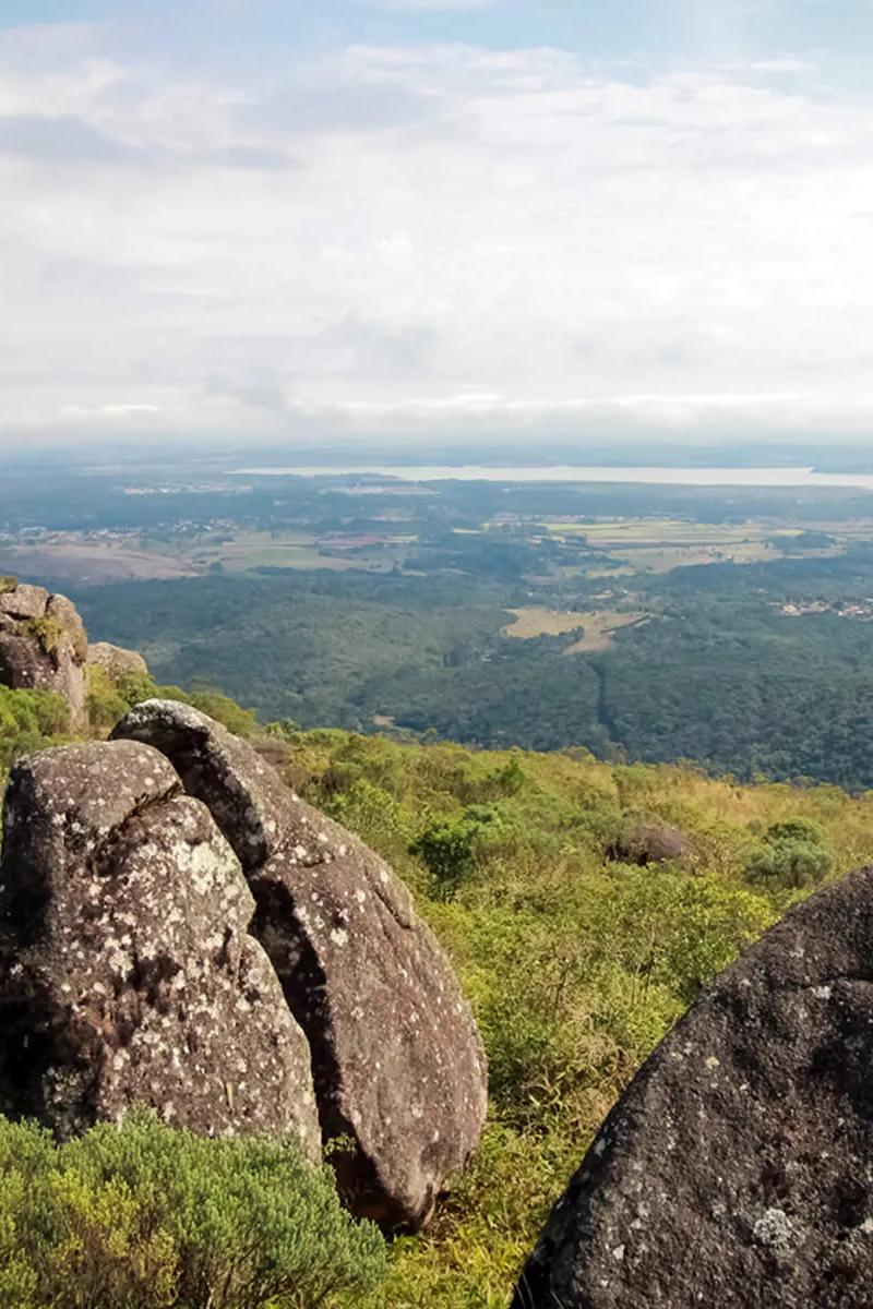 PICO PAO DE LOTH