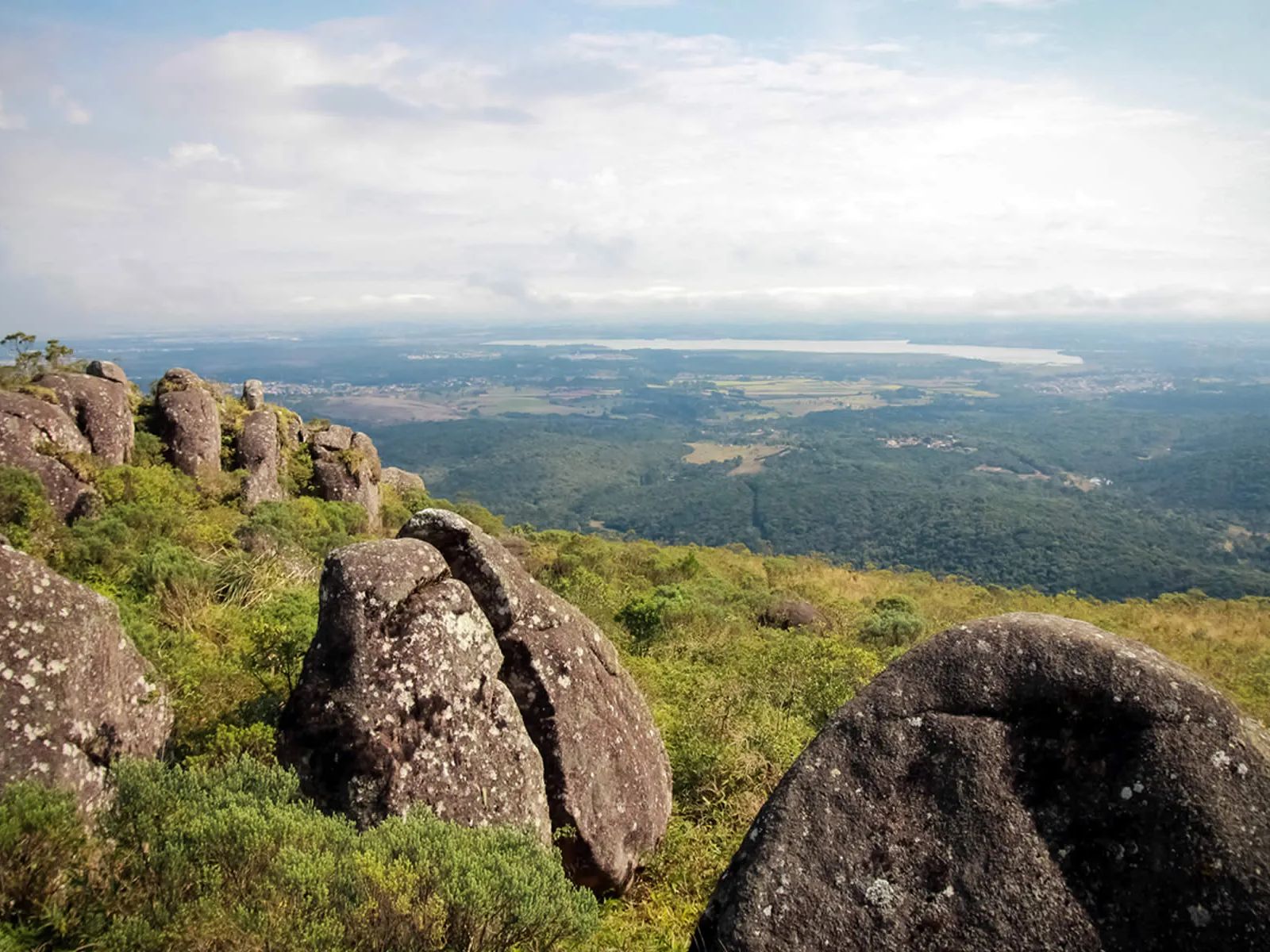 PICO PAO DE LOTH